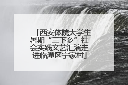 西安体院大学生暑期“三下乡”社会实践文艺汇演走进临潼区宁家村
