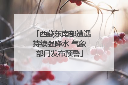 西藏东南部遭遇持续强降水 气象部门发布预警