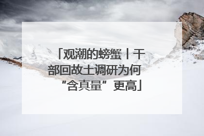 观潮的螃蟹丨干部回故土调研为何“含真量”更高