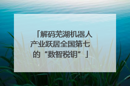 解码芜湖机器人产业跃居全国第七的“数智税钥”