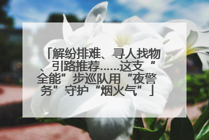 解纷排难、寻人找物、引路推荐……这支“全能”步巡队用“夜警务”守护“烟火气”