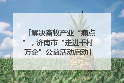 解决畜牧产业“痛点”，济南市“走进千村万企”公益活动启动