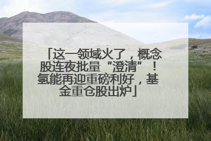 这一领域火了，概念股连夜批量“澄清”！氢能再迎重磅利好，基金重仓股出炉
