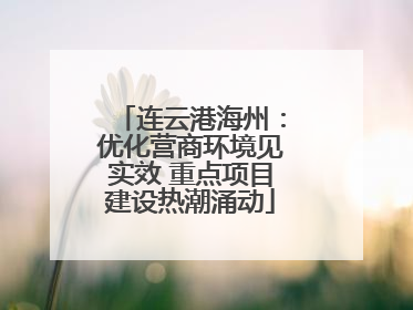 连云港海州：优化营商环境见实效 重点项目建设热潮涌动
