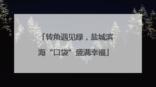 转角遇见绿，盐城滨海“口袋”盛满幸福