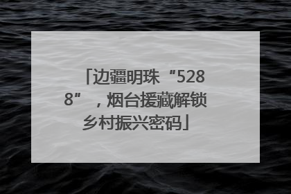 边疆明珠“5288”，烟台援藏解锁乡村振兴密码