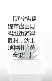 辽宁省盘锦市盘山县得胜街道得胜村：沙土地种出“黄金果”