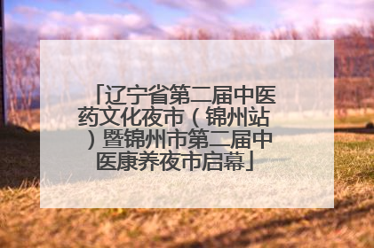 辽宁省第二届中医药文化夜市（锦州站）暨锦州市第二届中医康养夜市启幕