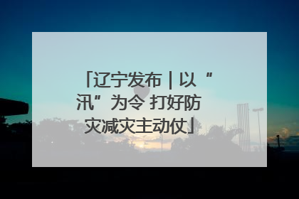 辽宁发布｜以“汛”为令 打好防灾减灾主动仗