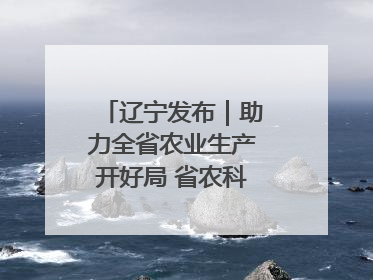 辽宁发布｜助力全省农业生产开好局 省农科院科技服务春耕备耕成效显著