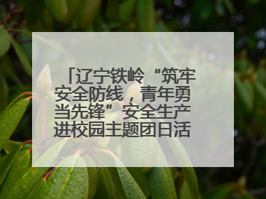 辽宁铁岭“筑牢安全防线，青年勇当先锋”安全生产进校园主题团日活动举行