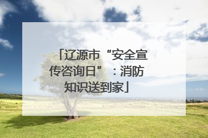 辽源市“安全宣传咨询日”：消防知识送到家