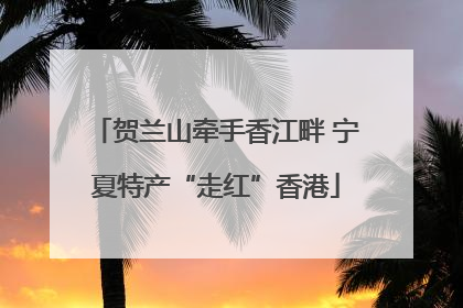 贺兰山牵手香江畔 宁夏特产“走红”香港