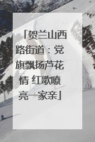 贺兰山西路街道：党旗飘扬芦花情 红歌嘹亮一家亲