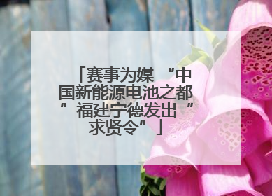 赛事为媒 “中国新能源电池之都”福建宁德发出“求贤令”