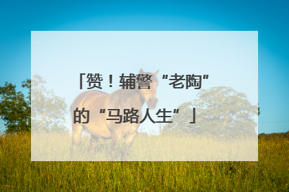 赞！辅警“老陶”的“马路人生”