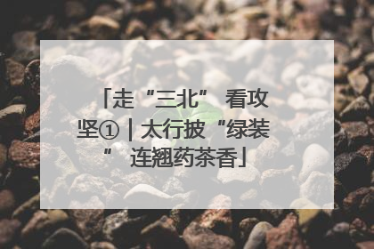 走“三北” 看攻坚①｜太行披“绿装” 连翘药茶香
