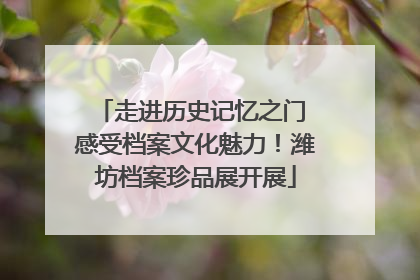 走进历史记忆之门 感受档案文化魅力！潍坊档案珍品展开展