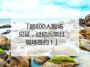 超800人现场见证，过亿元项目现场签约！