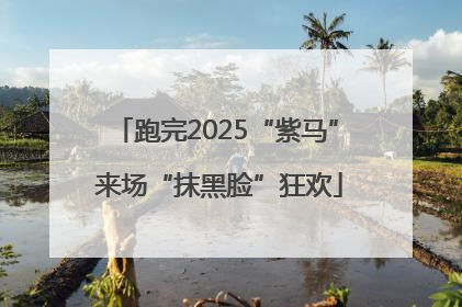 跑完2025“紫马” 来场“抹黑脸”狂欢