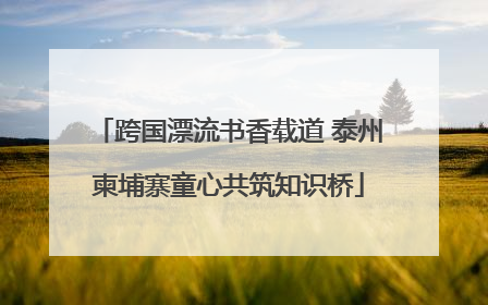 跨国漂流书香载道 泰州柬埔寨童心共筑知识桥