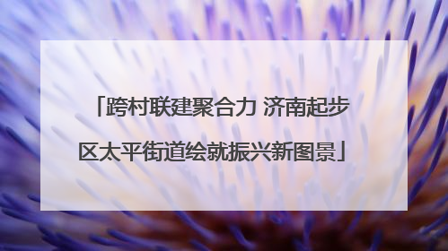跨村联建聚合力 济南起步区太平街道绘就振兴新图景