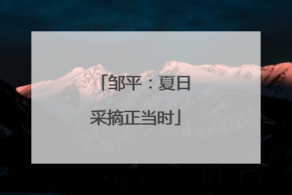 邹平：夏日采摘正当时
