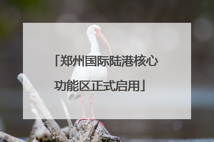 郑州国际陆港核心功能区正式启用