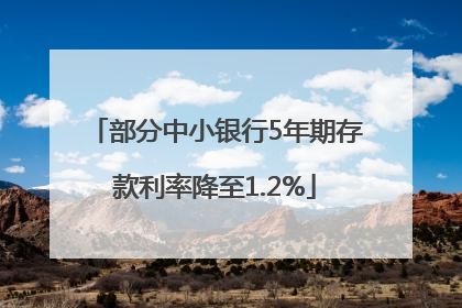 部分中小银行5年期存款利率降至1.2%