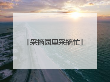 采摘园里采摘忙