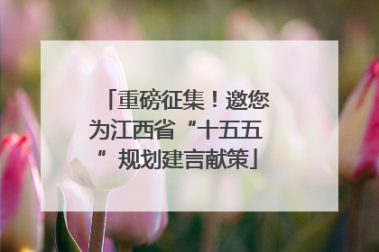 重磅征集！邀您为江西省“十五五”规划建言献策