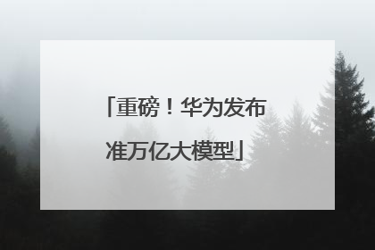 重磅！华为发布准万亿大模型