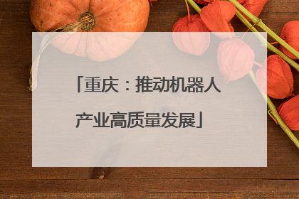 重庆：推动机器人产业高质量发展