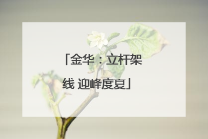 金华：立杆架线 迎峰度夏