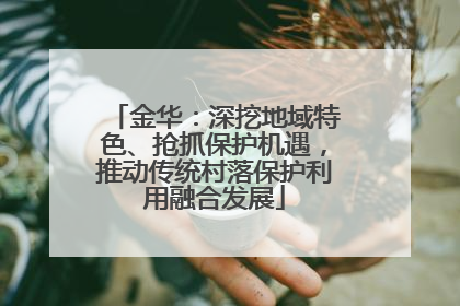 金华：深挖地域特色、抢抓保护机遇，推动传统村落保护利用融合发展