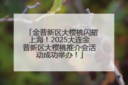 金普新区大樱桃闪耀上海！2025大连金普新区大樱桃推介会活动成功举办！