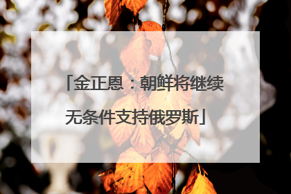 金正恩：朝鲜将继续无条件支持俄罗斯