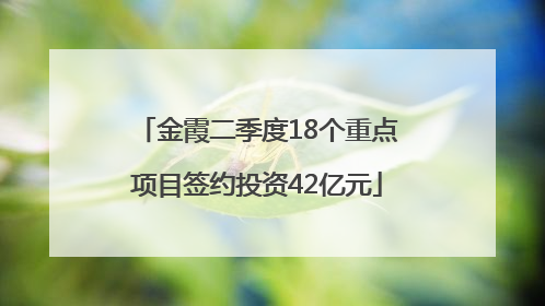 金霞二季度18个重点项目签约投资42亿元