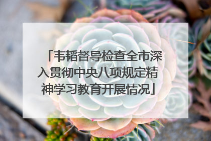 韦韬督导检查全市深入贯彻中央八项规定精神学习教育开展情况
