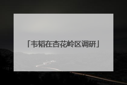 韦韬在杏花岭区调研