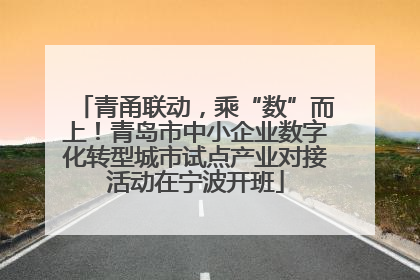 青甬联动，乘“数”而上！青岛市中小企业数字化转型城市试点产业对接活动在宁波开班