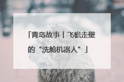 青岛故事丨飞檐走壁的“洗舱机器人”