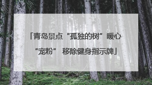 青岛景点“孤独的树”暖心“宠粉” 移除健身指示牌