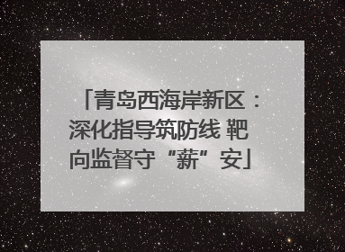 青岛西海岸新区：深化指导筑防线 靶向监督守“薪”安