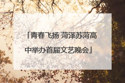 青春飞扬 菏泽苏菏高中举办首届文艺晚会