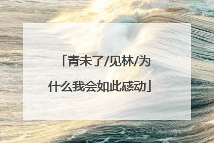 青未了/见林/为什么我会如此感动