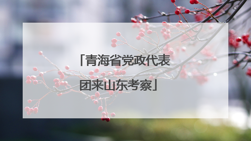 青海省党政代表团来山东考察