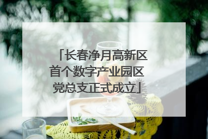 长春净月高新区首个数字产业园区党总支正式成立