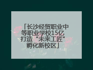 长沙经贸职业中等职业学校15亿打造“未来工匠”孵化新校区
