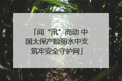 闻“汛”而动 中国太保产险丽水中支筑牢安全守护网